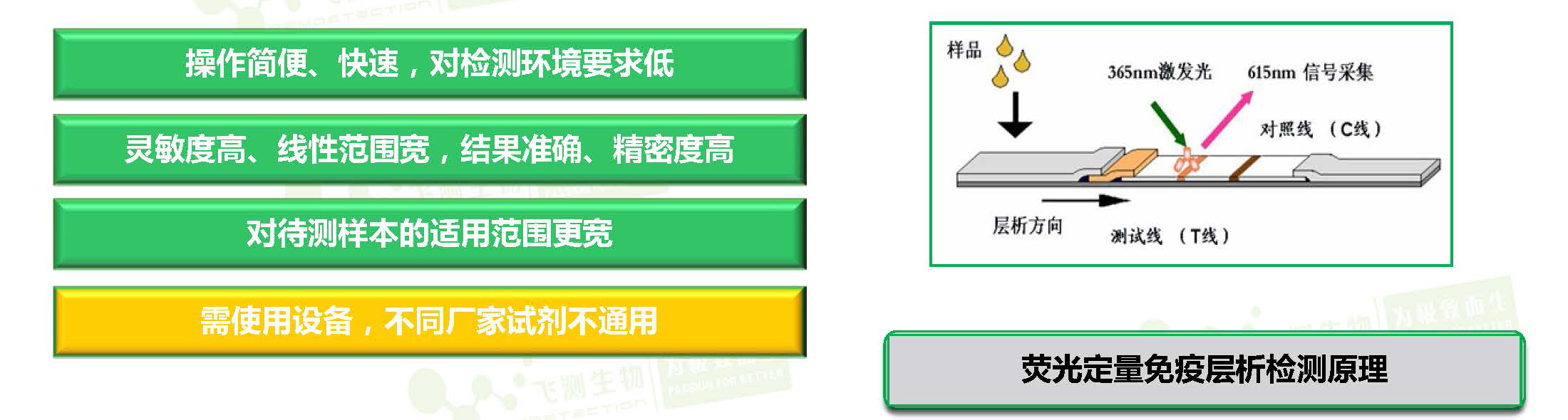 熒光定量免疫層析法