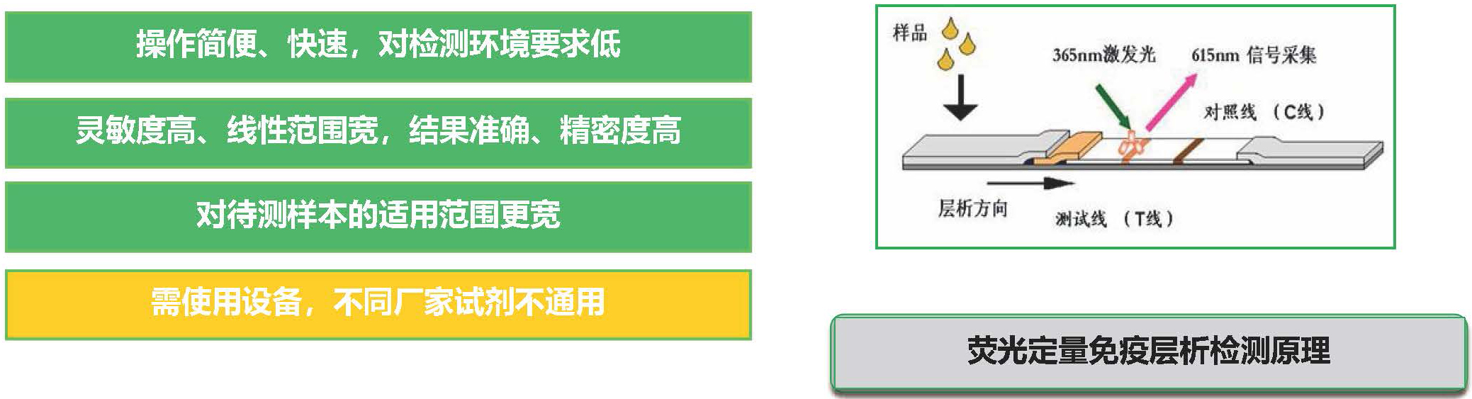 熒光定量免疫層析技術(shù)